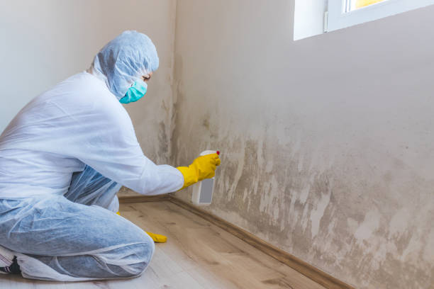 Home Mold Removal in Dahlgren, VA