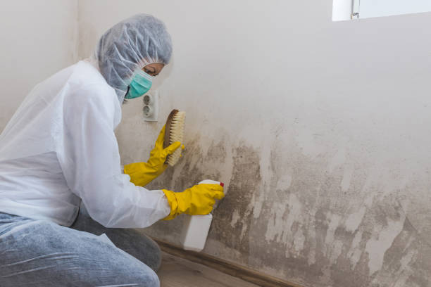 Best Residential Mold Removal  in Dahlgren, VA