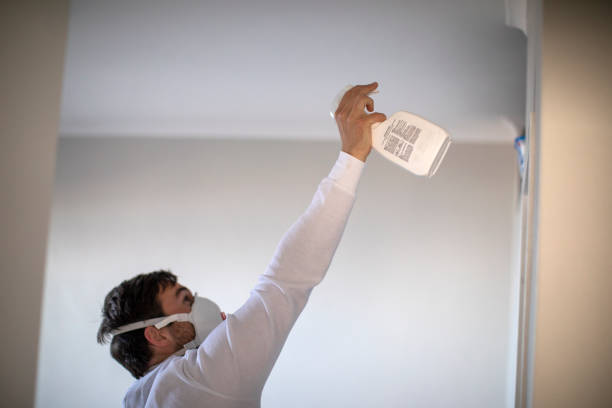 Best Mold Removal Near Me  in Dahlgren, VA