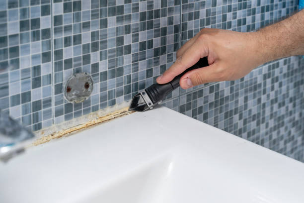 Best Attic Mold Removal  in Dahlgren, VA