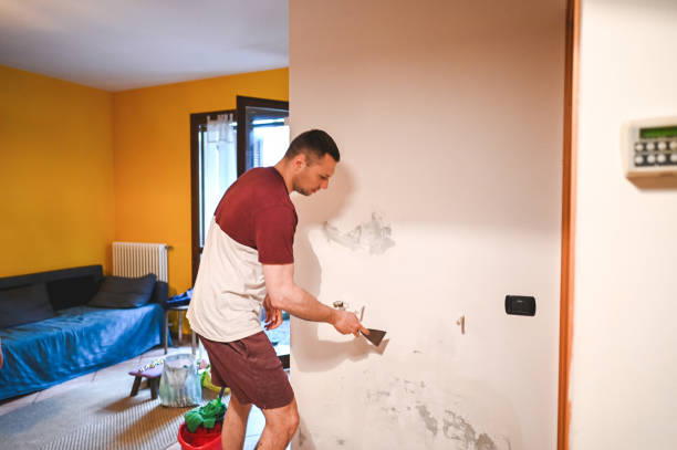 Best Attic Mold Removal  in Dahlgren, VA