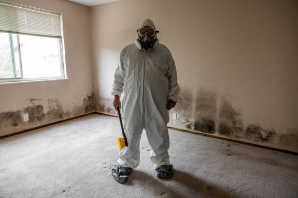 Best Commercial Mold Removal  in Dahlgren, VA